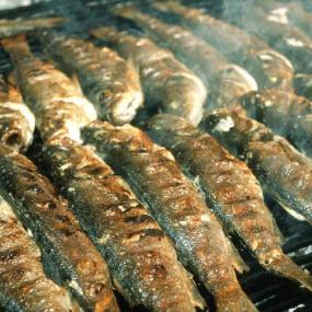 Mouthwatering grilled fish